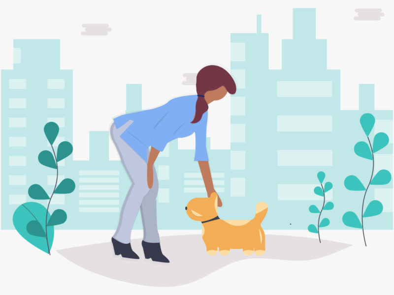 Was kosten Hunde und andere Haustiere im Jahr? 2 hunde-kosten-im-jahr-hero