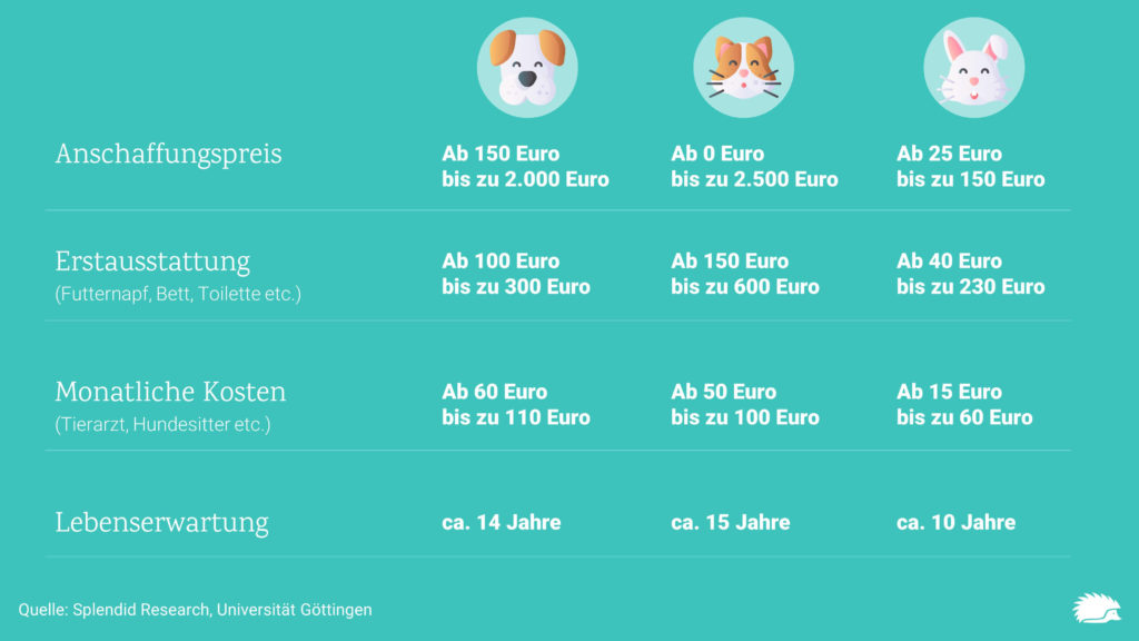 Was kosten Hunde und andere Haustiere im Jahr? 3 katzen-hunde-kosten-grafik
