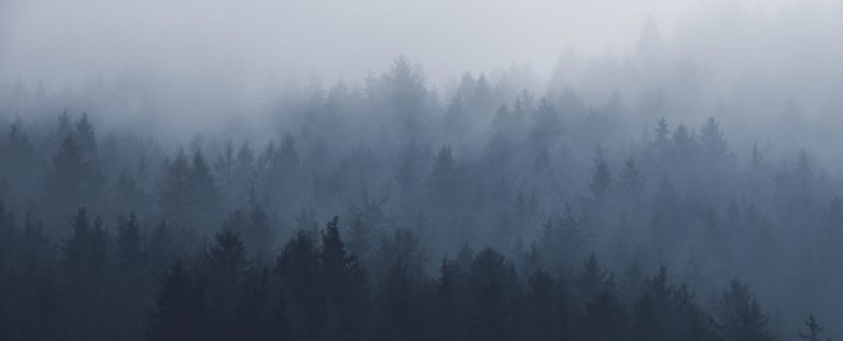 allwetter-portfolio
